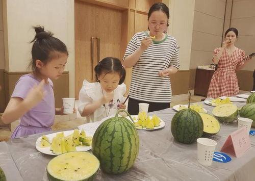 最新吃瓜事件,神秘恋情曝光，明星夫妻疑分手